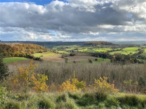 North Nibley views